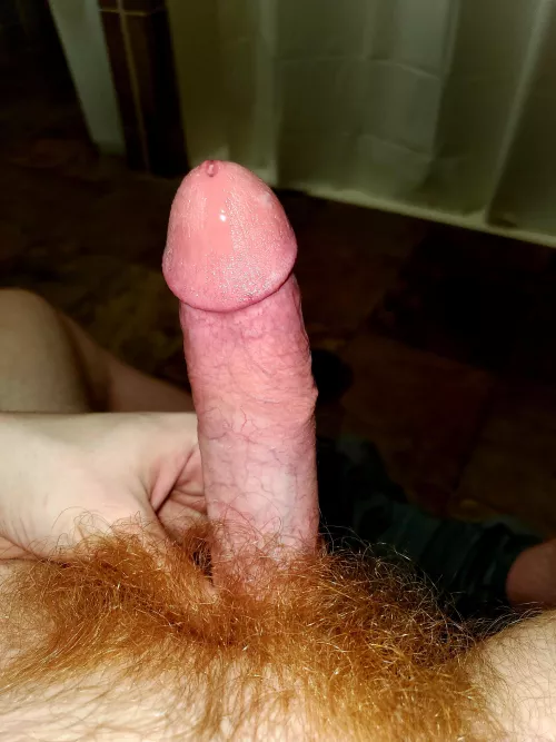 Goodnight reddit Boys, anyone wanna jack off before bed to my cock ? 😜