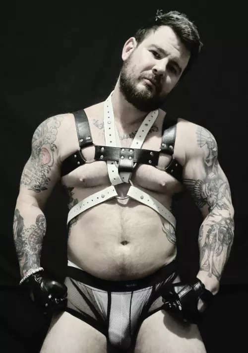 Got a new harness so I figured I'd show off a bit 😏 what do you think?