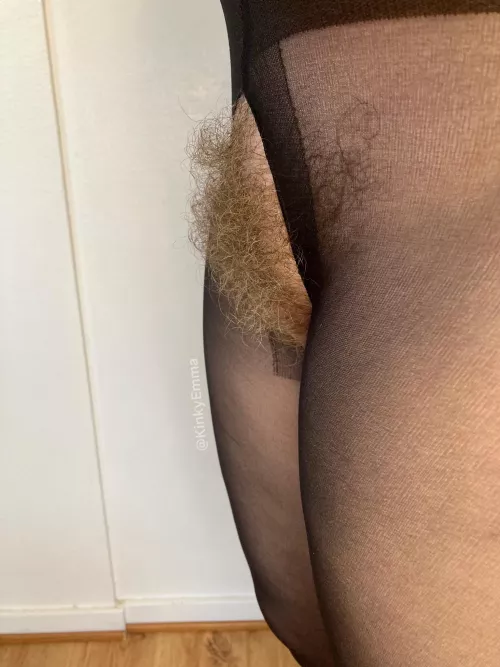 Got a new pair of pantyhose today that has great room for my big bush…