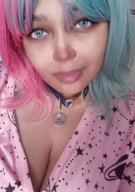 Got a new tag for my collar ♡