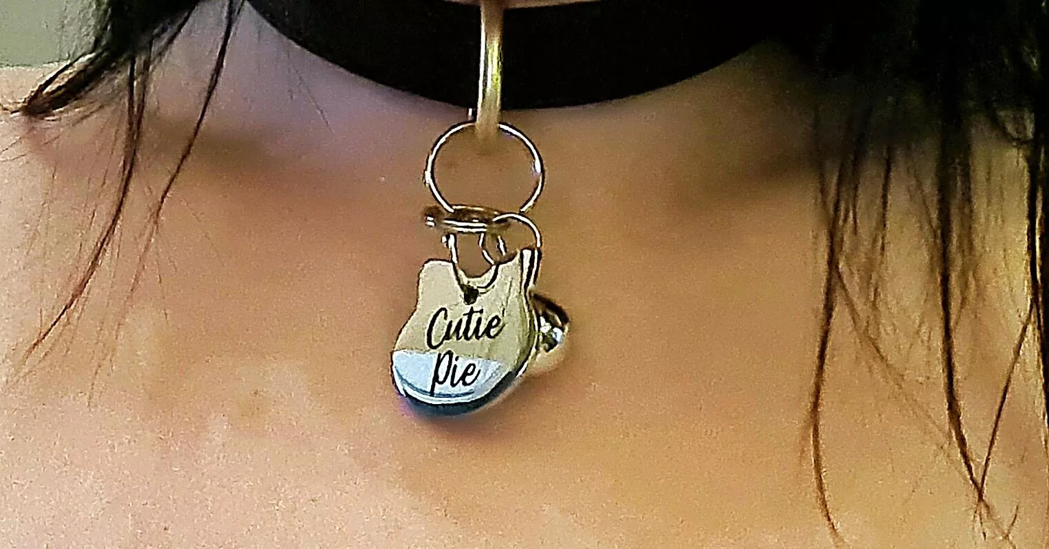 Got a tag and bell for my collar 😁❤🥰