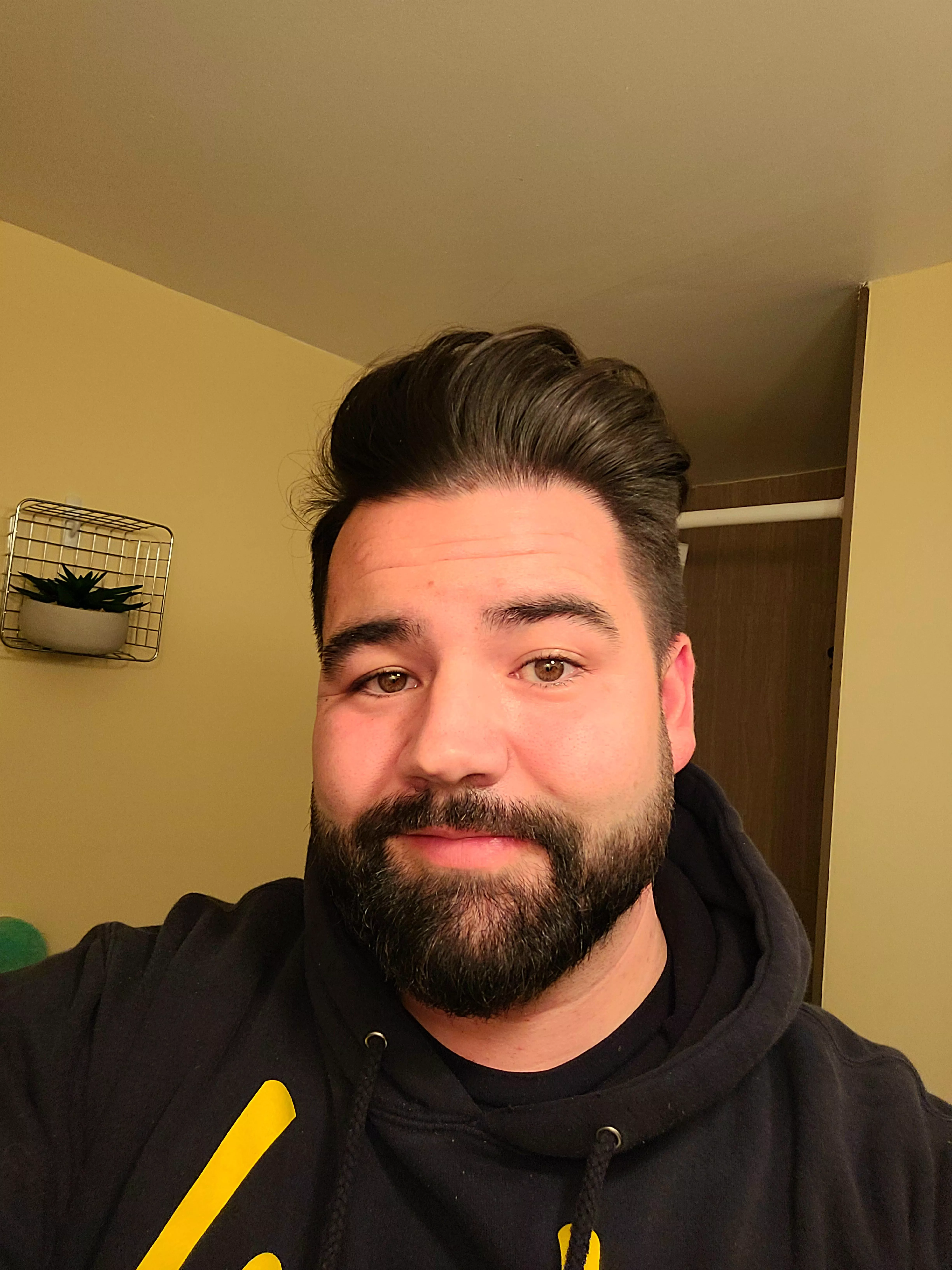 Got my beard fixed. What do you think?