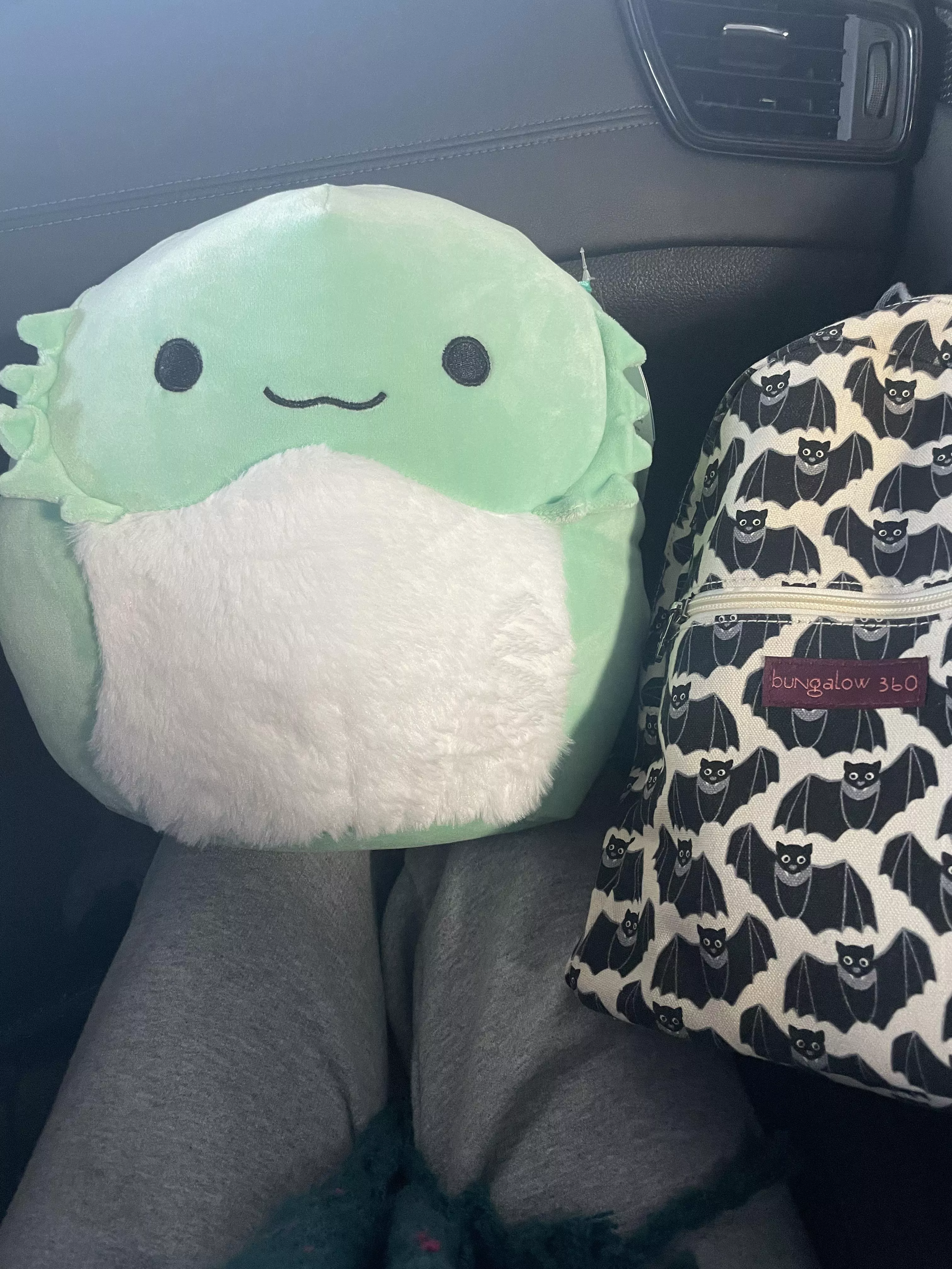 Got my little Abe 🥺