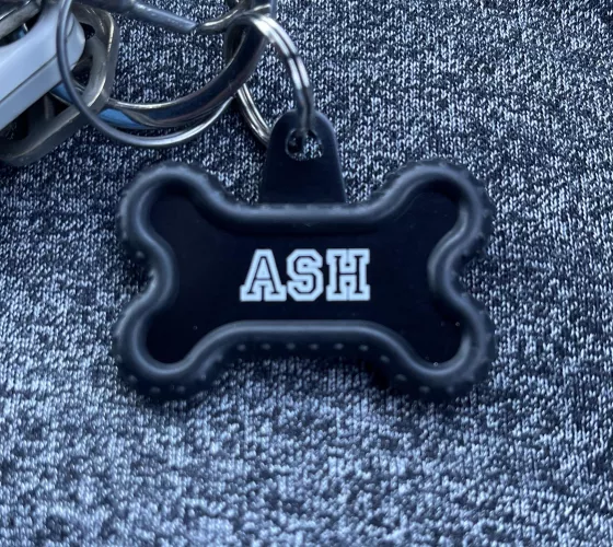 Got my tag today just need a collar 😅