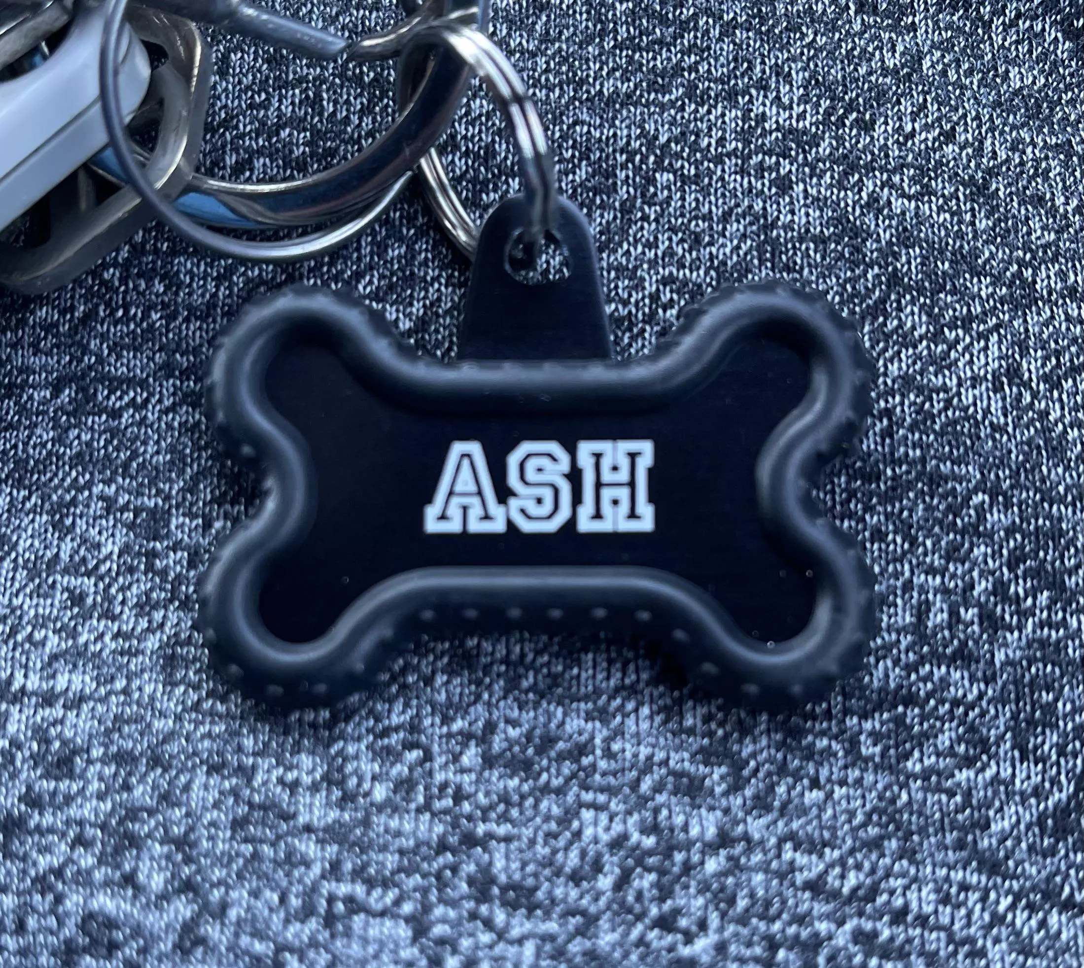 Got my tag today just need a collar 😅