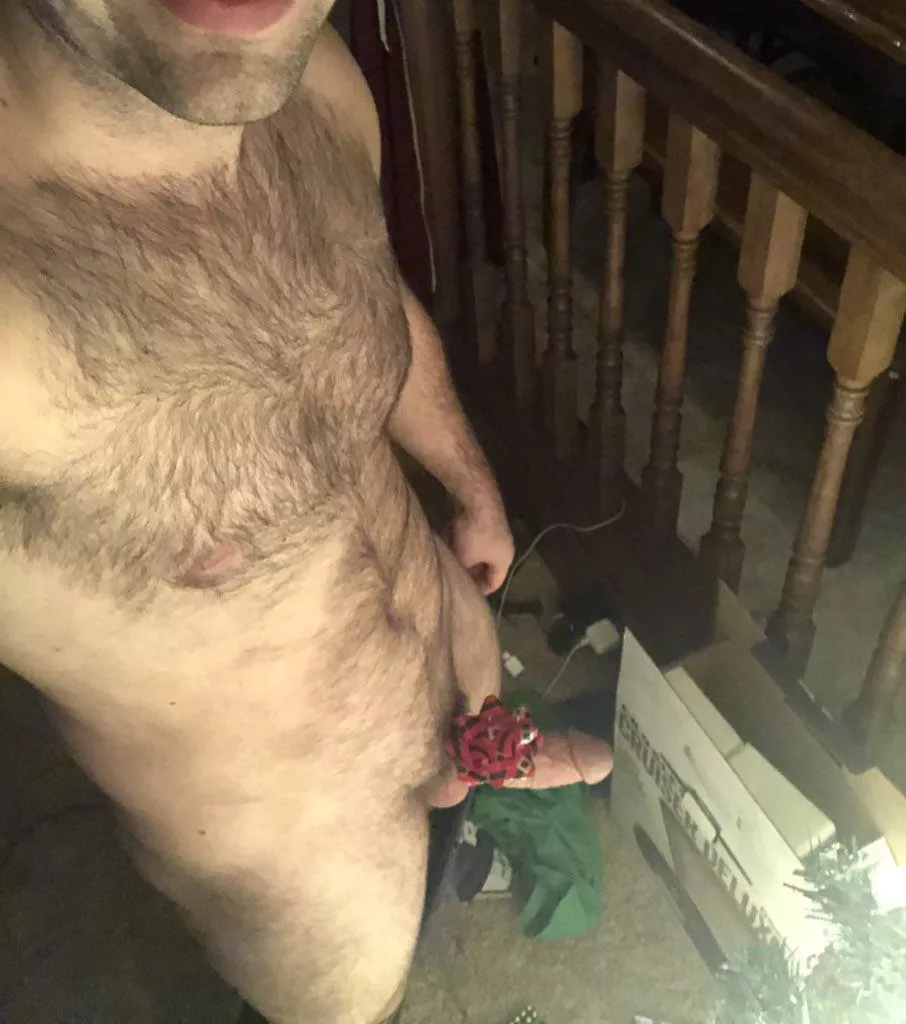 Got one more gift….