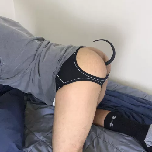 Got The Tail In🍑😈