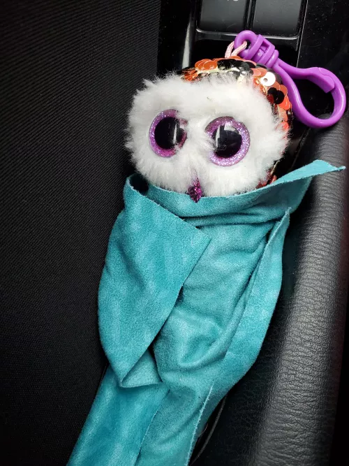 Gotta keep your stuffies warm on car rides!!