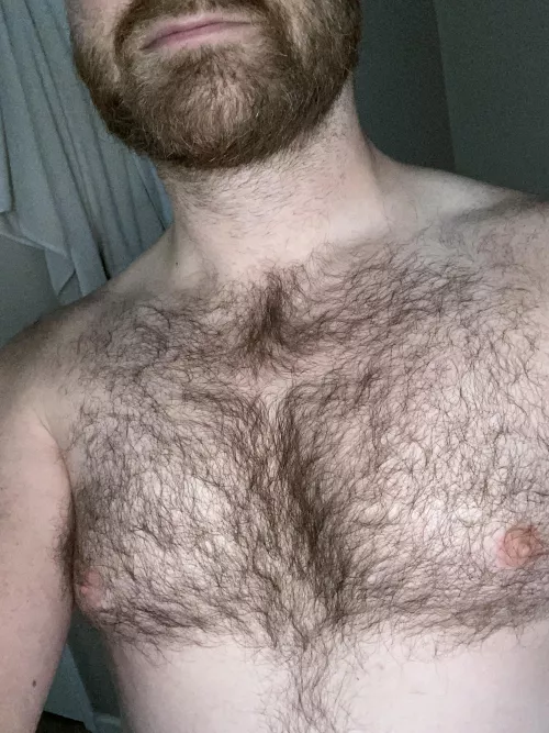 Greetings from Texas