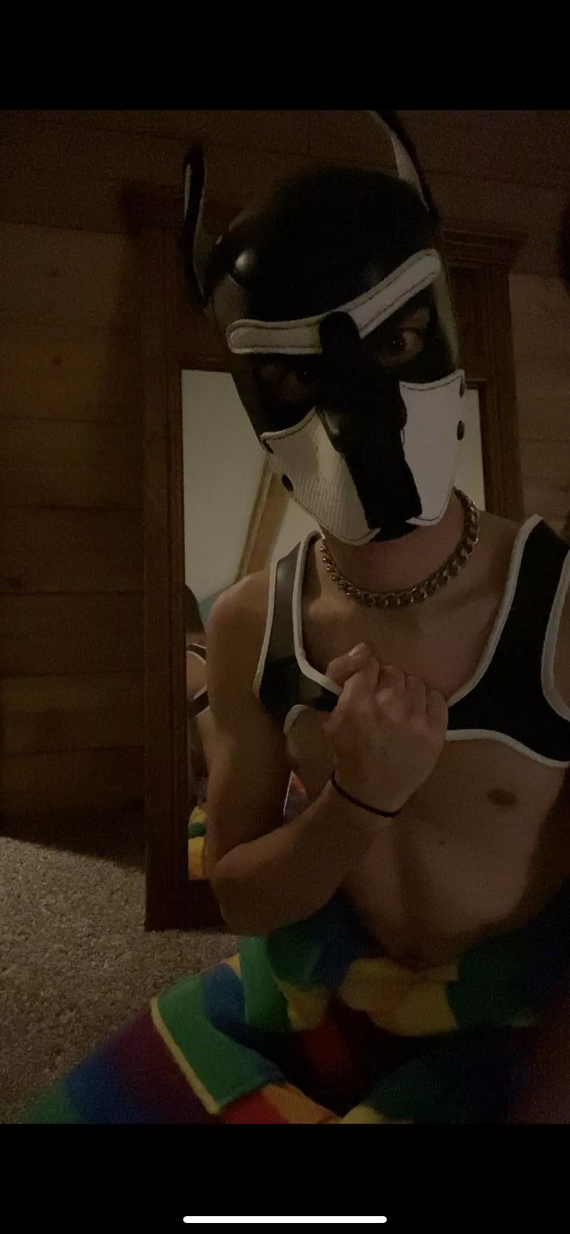 Grrr! I’m a scary pup