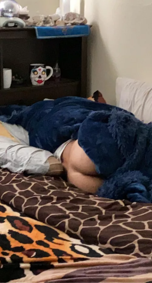 Guess I should sleep with my door closed.