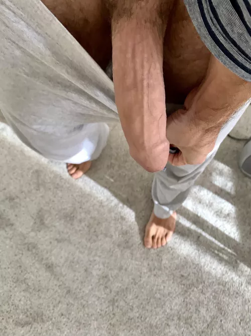 Guess the weight 🤓