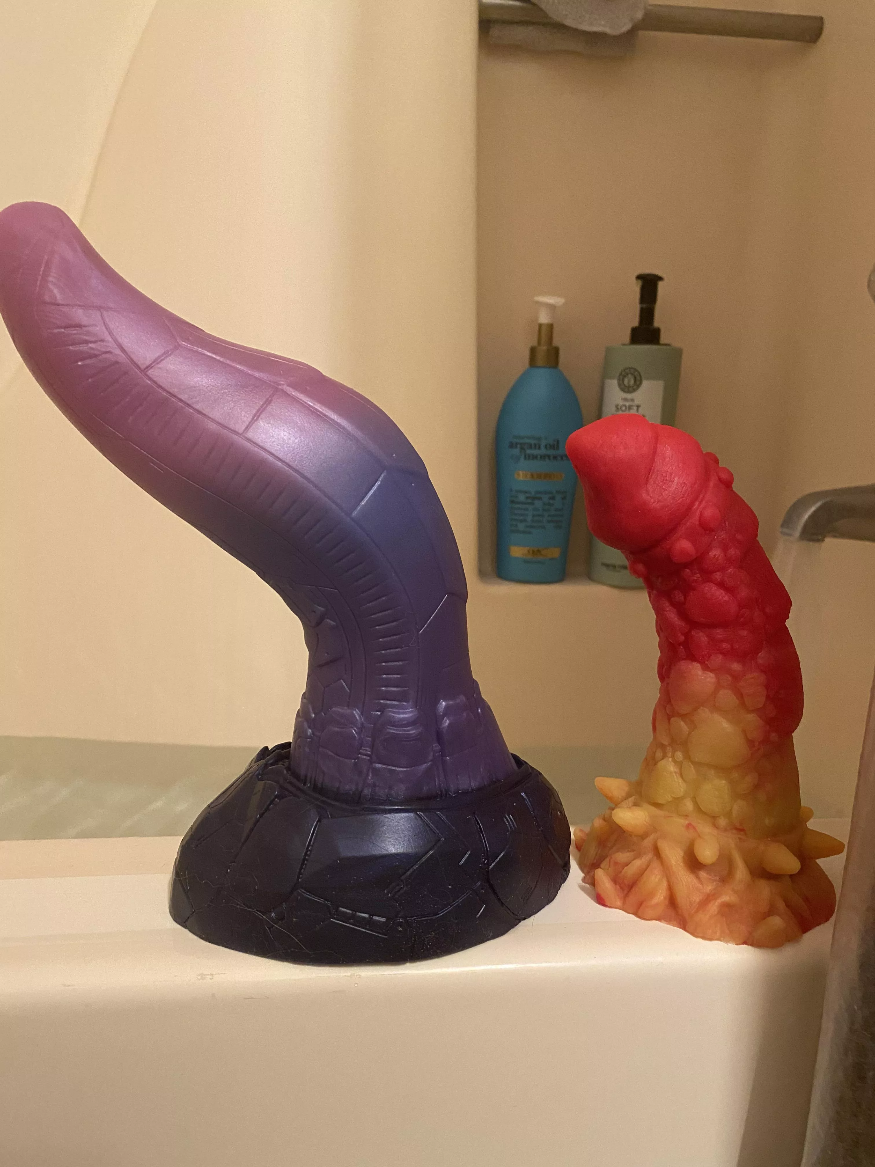 Habu was getting kinda angsty with all the grit in the house, so they’re getting a bath! :p (also size comparison, cause holy cow, Habu is a big boi)