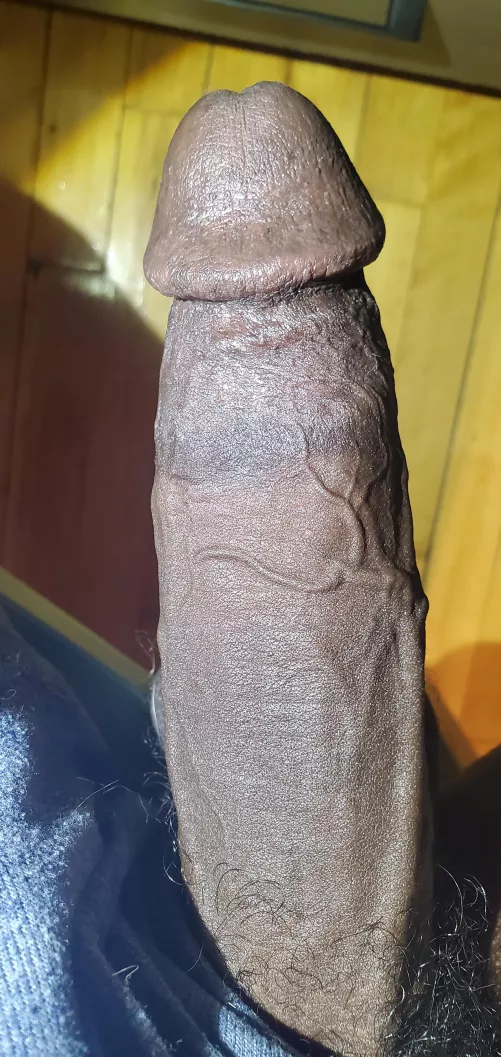 Had to give some spotlight to the star of the show