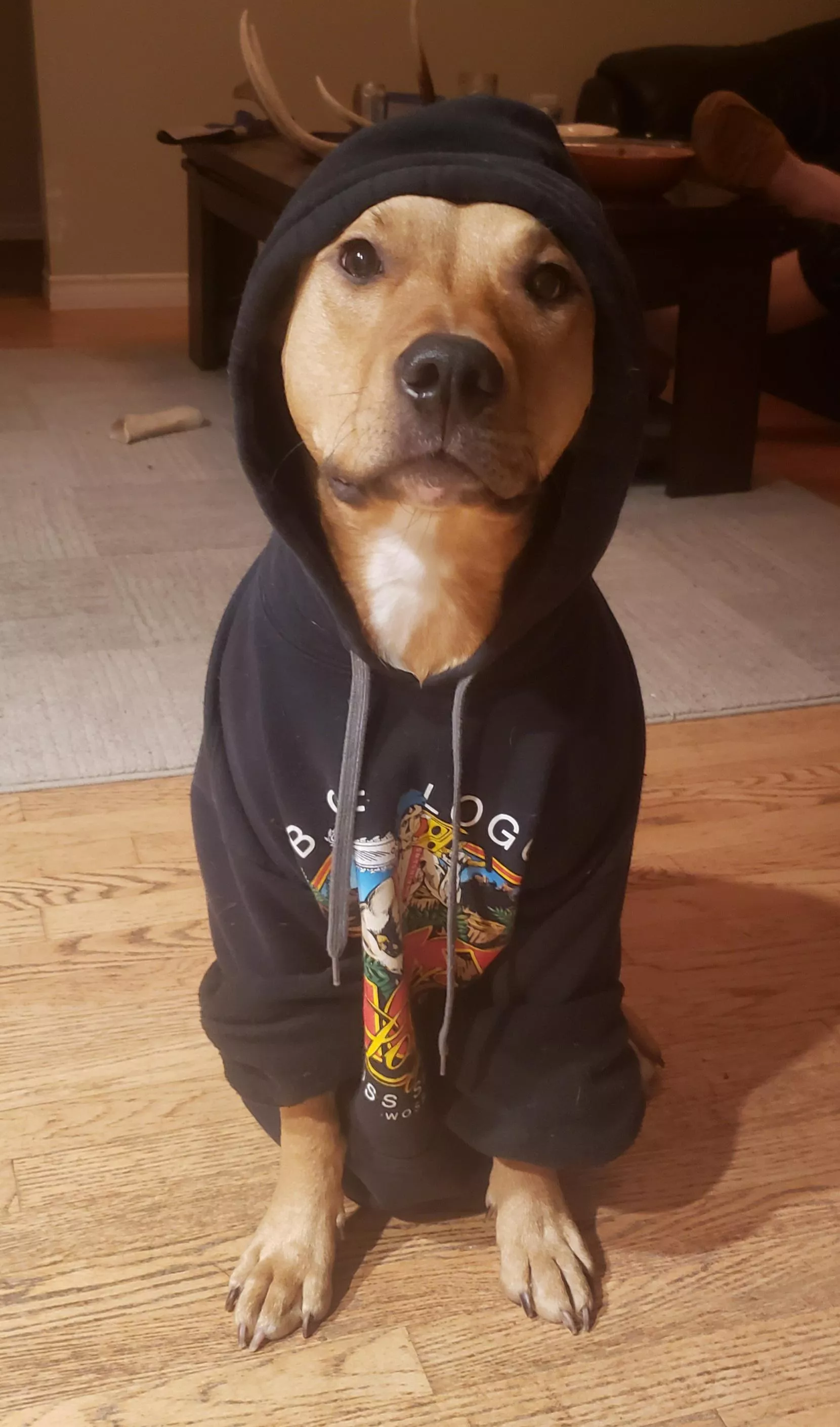 Had to roll up the sleeves for her