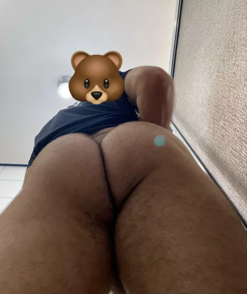 Hairy 🐻