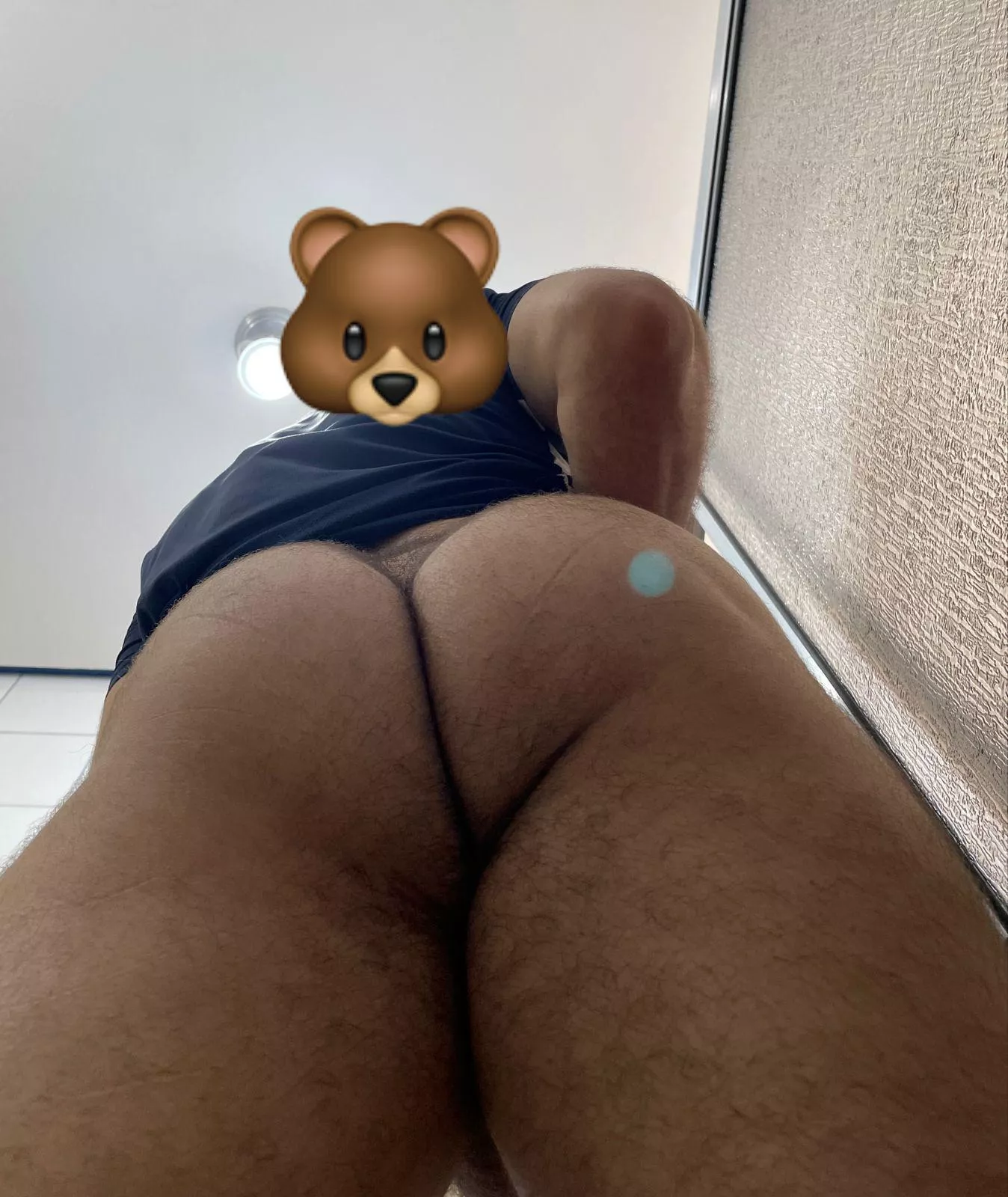 Hairy 🐻