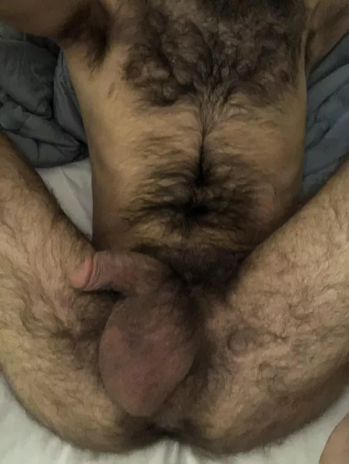 Hairy all over (22)