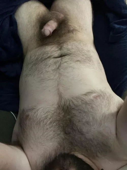 Hairy and chubby