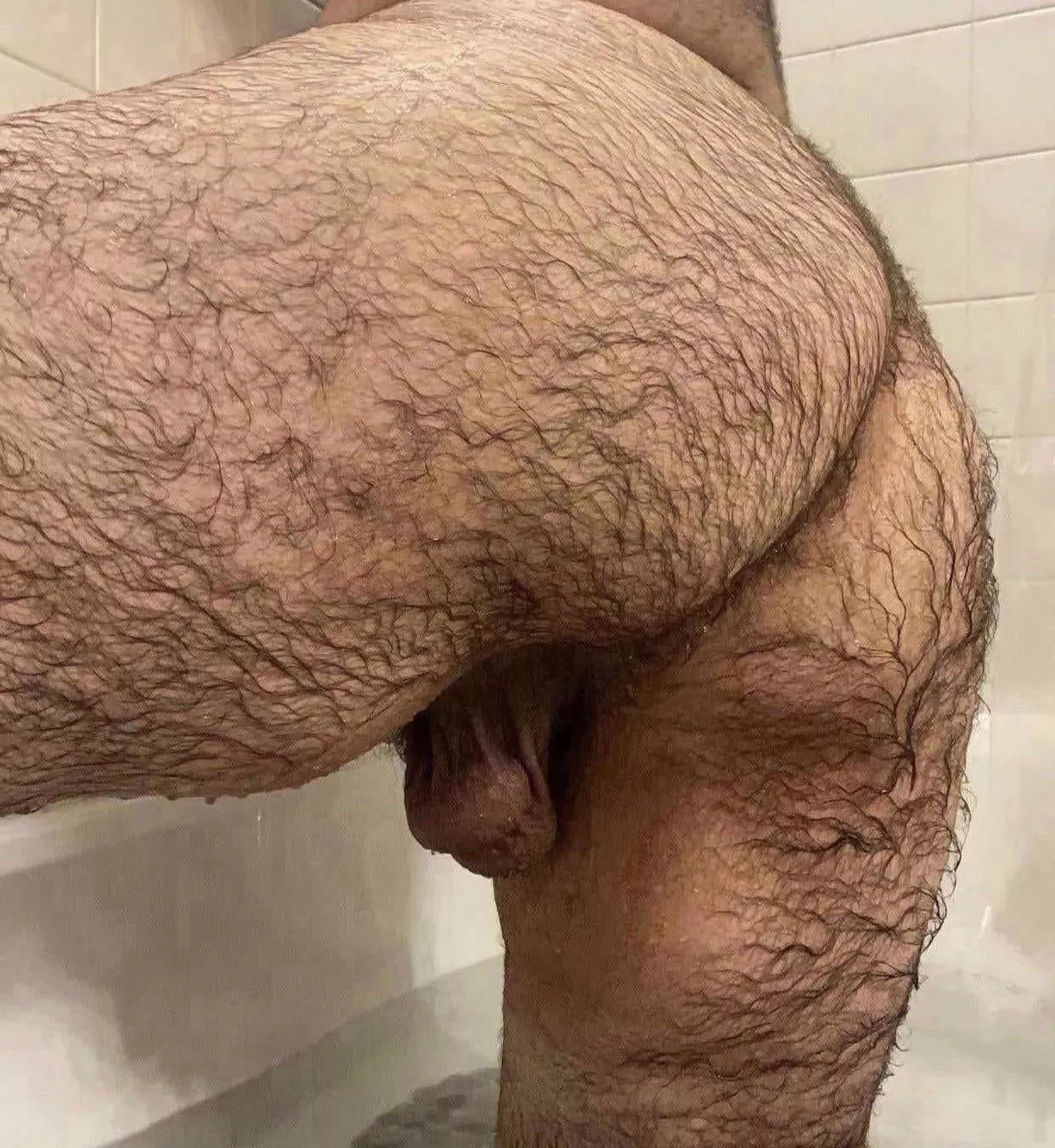 Hairy and horny