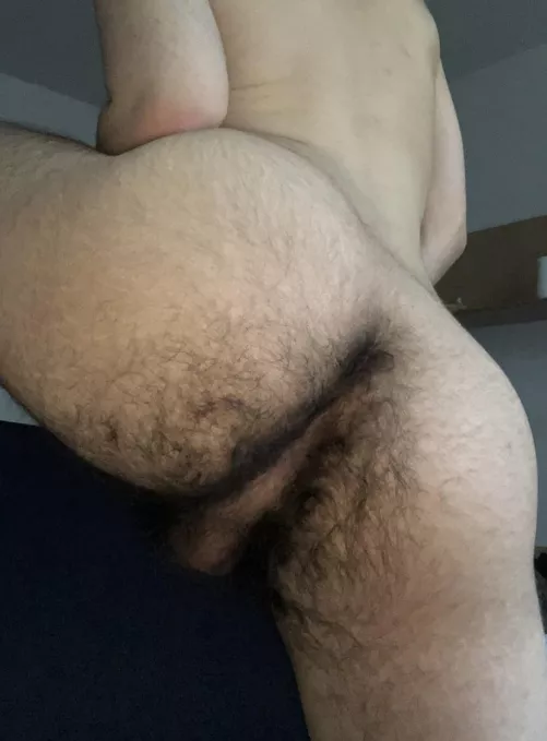 Hairy asshole and taint