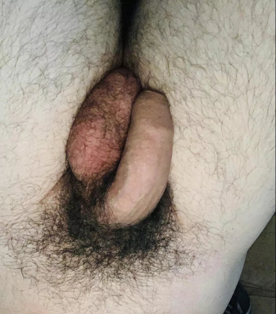 hairy balls lover here?😋