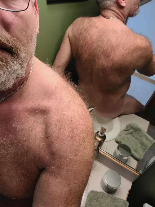 Hairy bear new year
