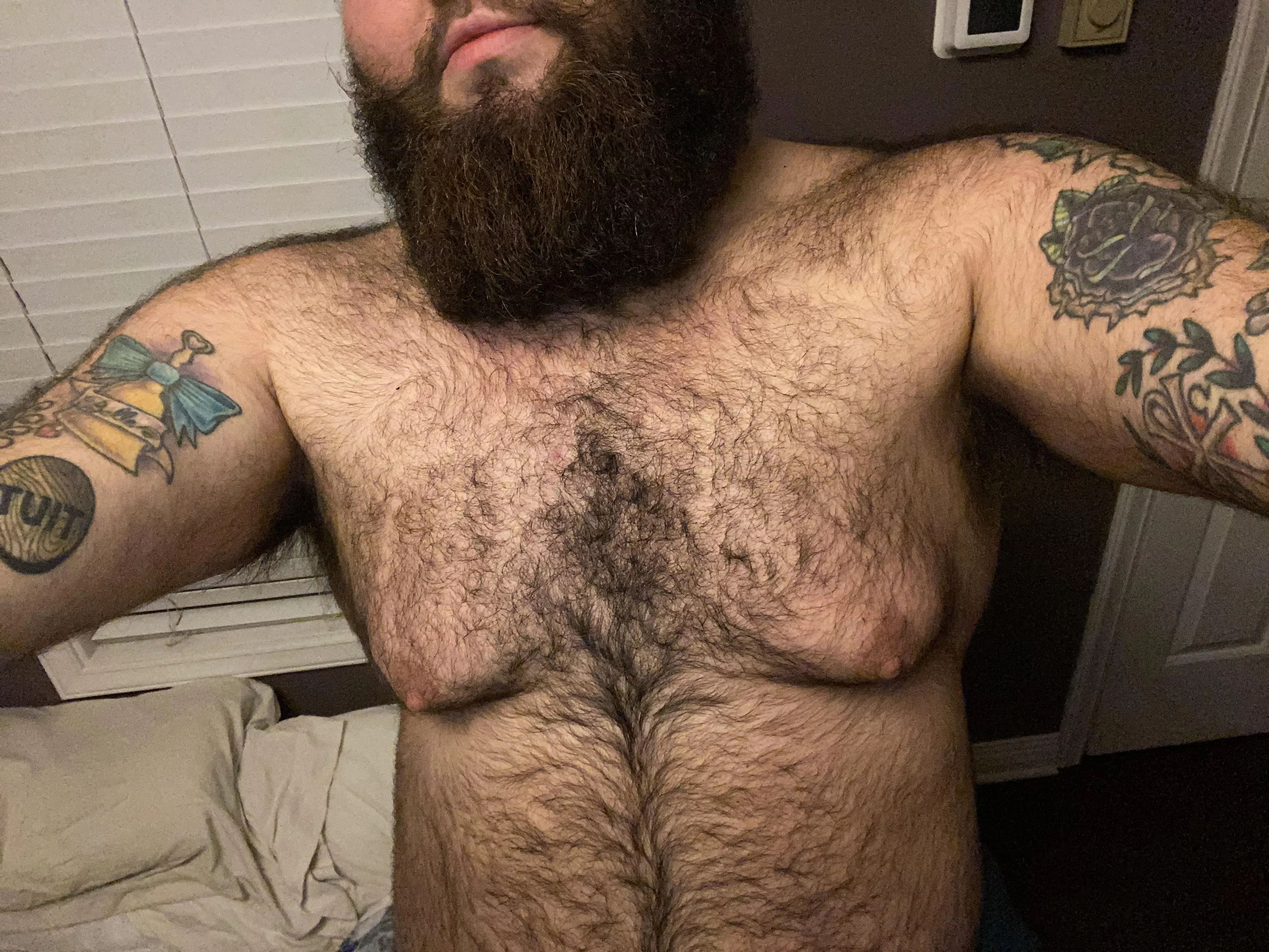 Hairy Daddy 🐻