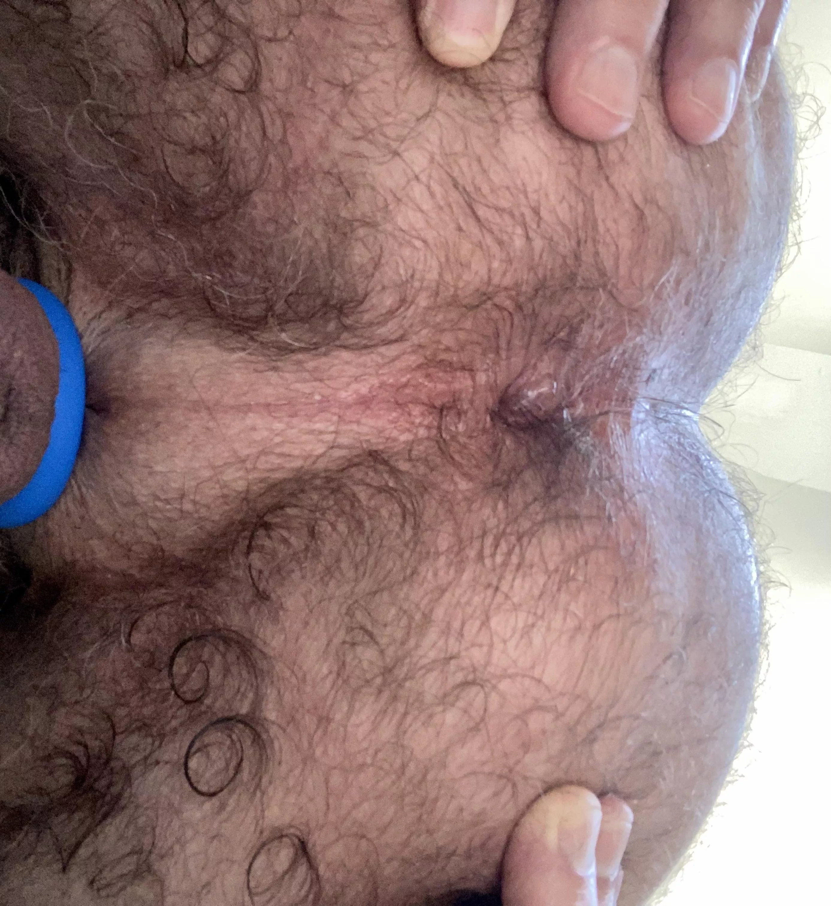 Hairy Daddy Ass at the ready