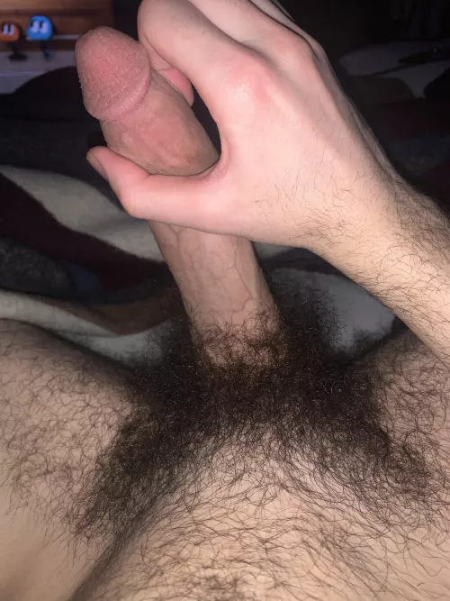 hairy dick