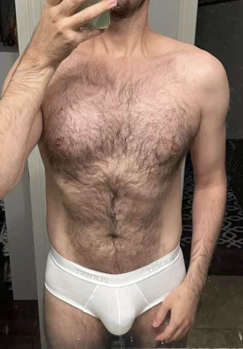 Hairy guys in white briefs: π or π
