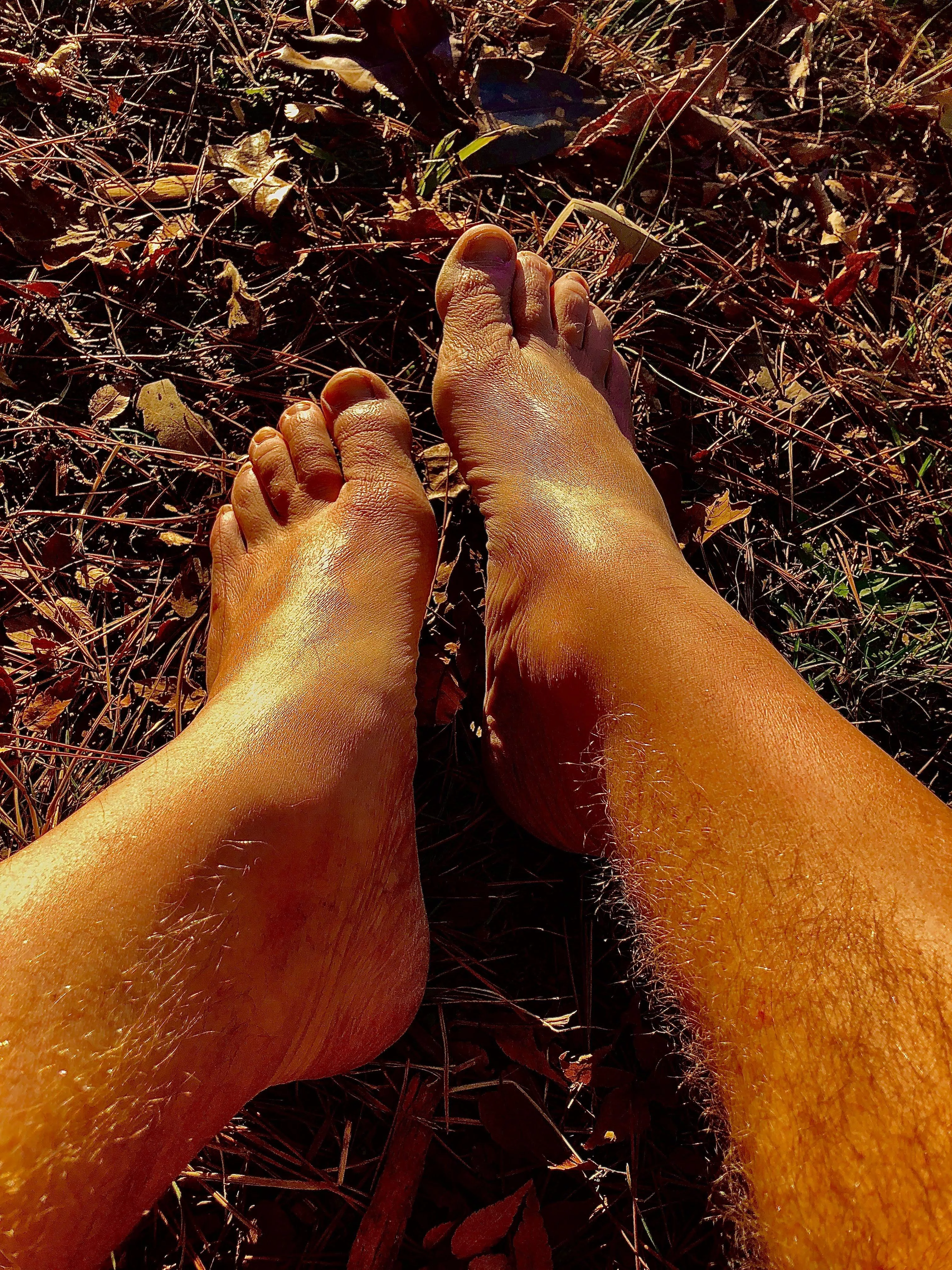 Hairy legs on a warm Winter's day.