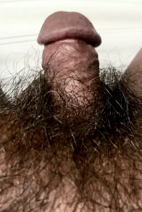Hairy