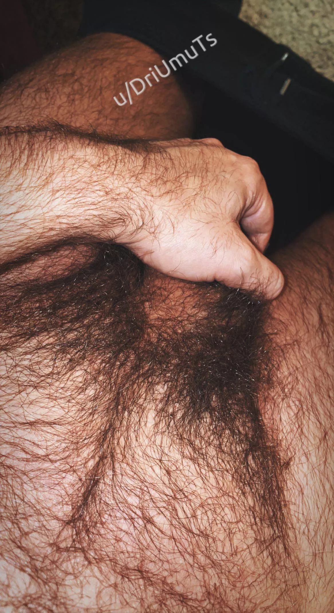 Hairy? No doubt. Insanely hairy? 🤷🏻