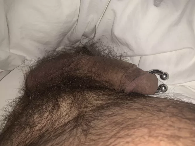 Hairy PA