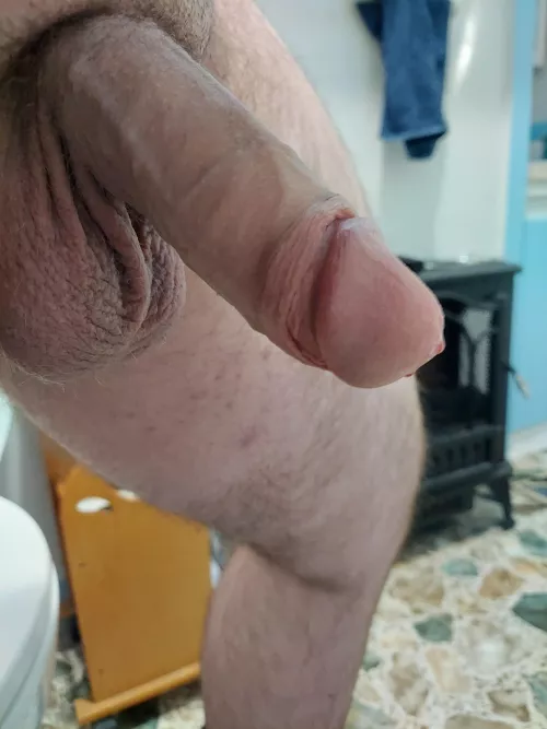 Half mast. Dm if you want to talk me into full hardon.