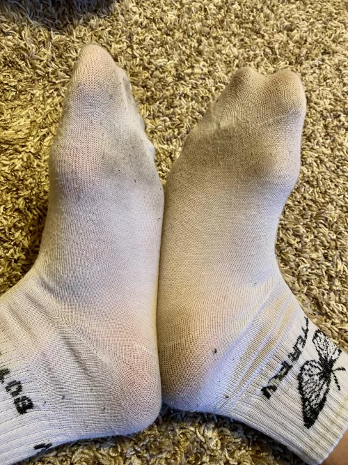 Halfway through the day. Wanna see them by the end?