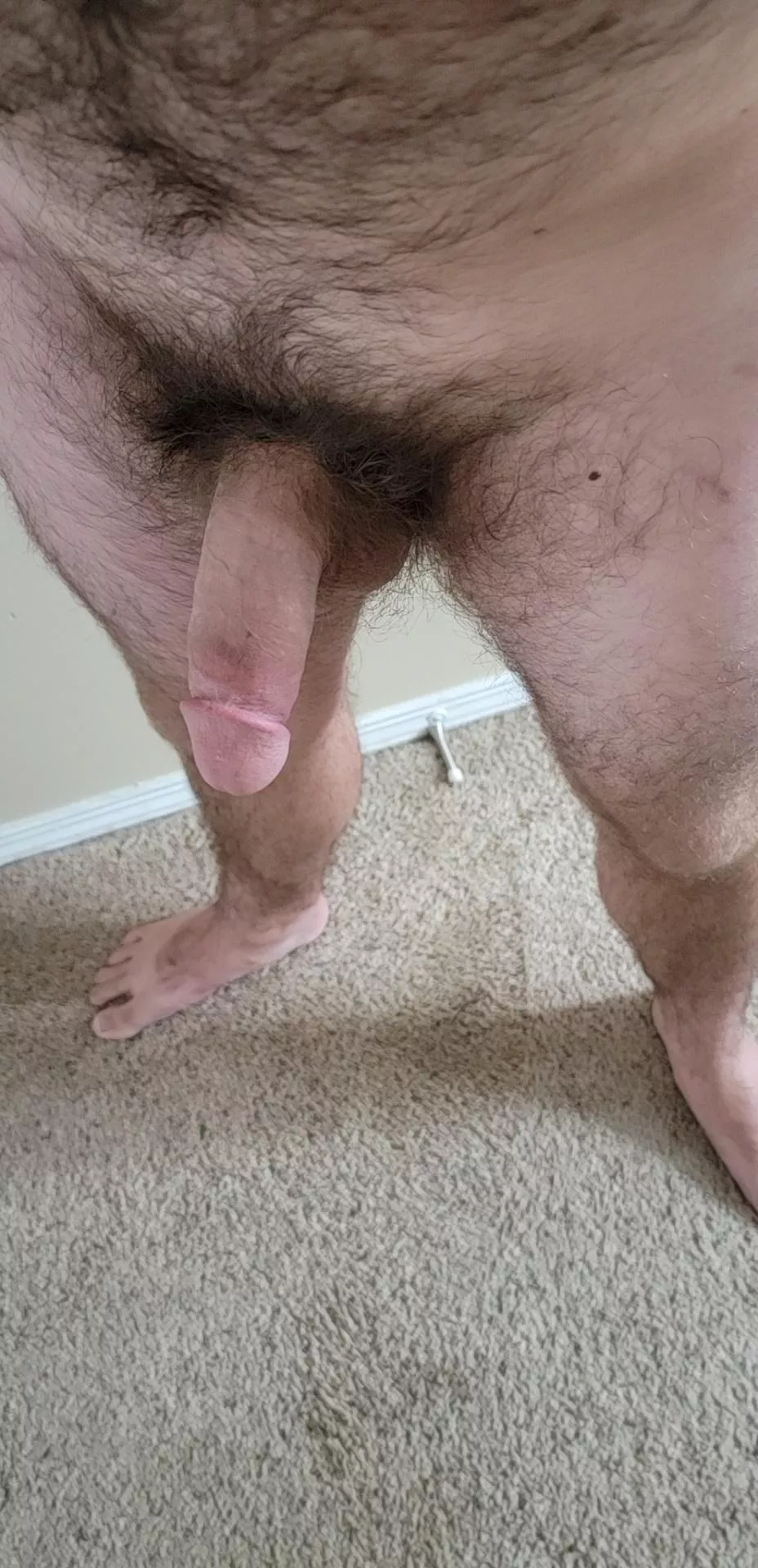 Hanging, patiently waiting for you