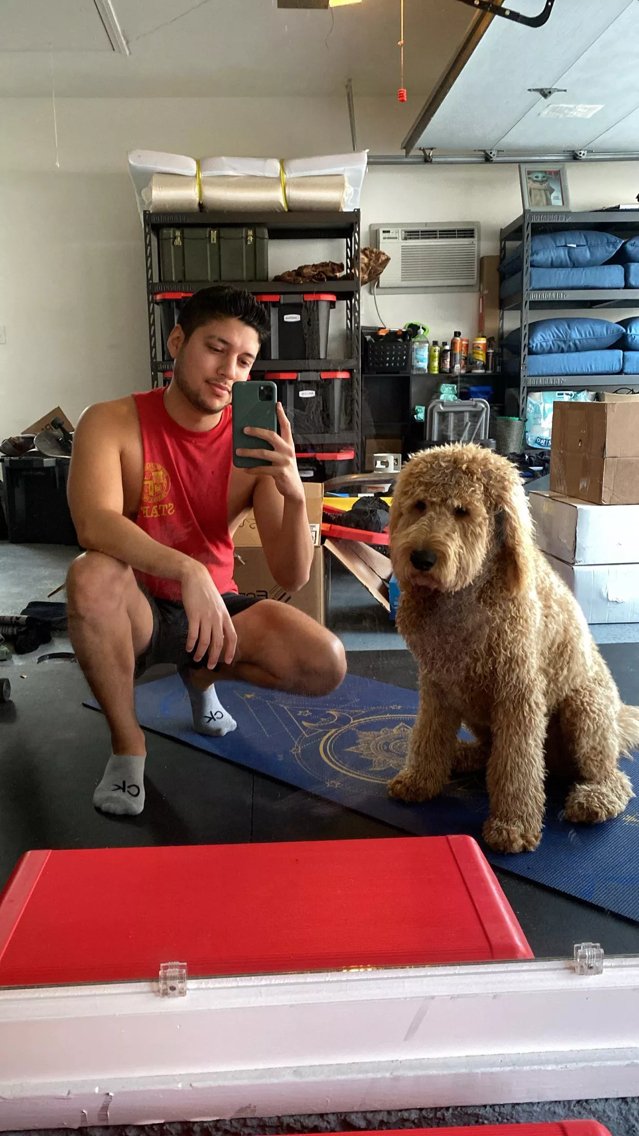 Happy Friday boys from my dog and I 🐾