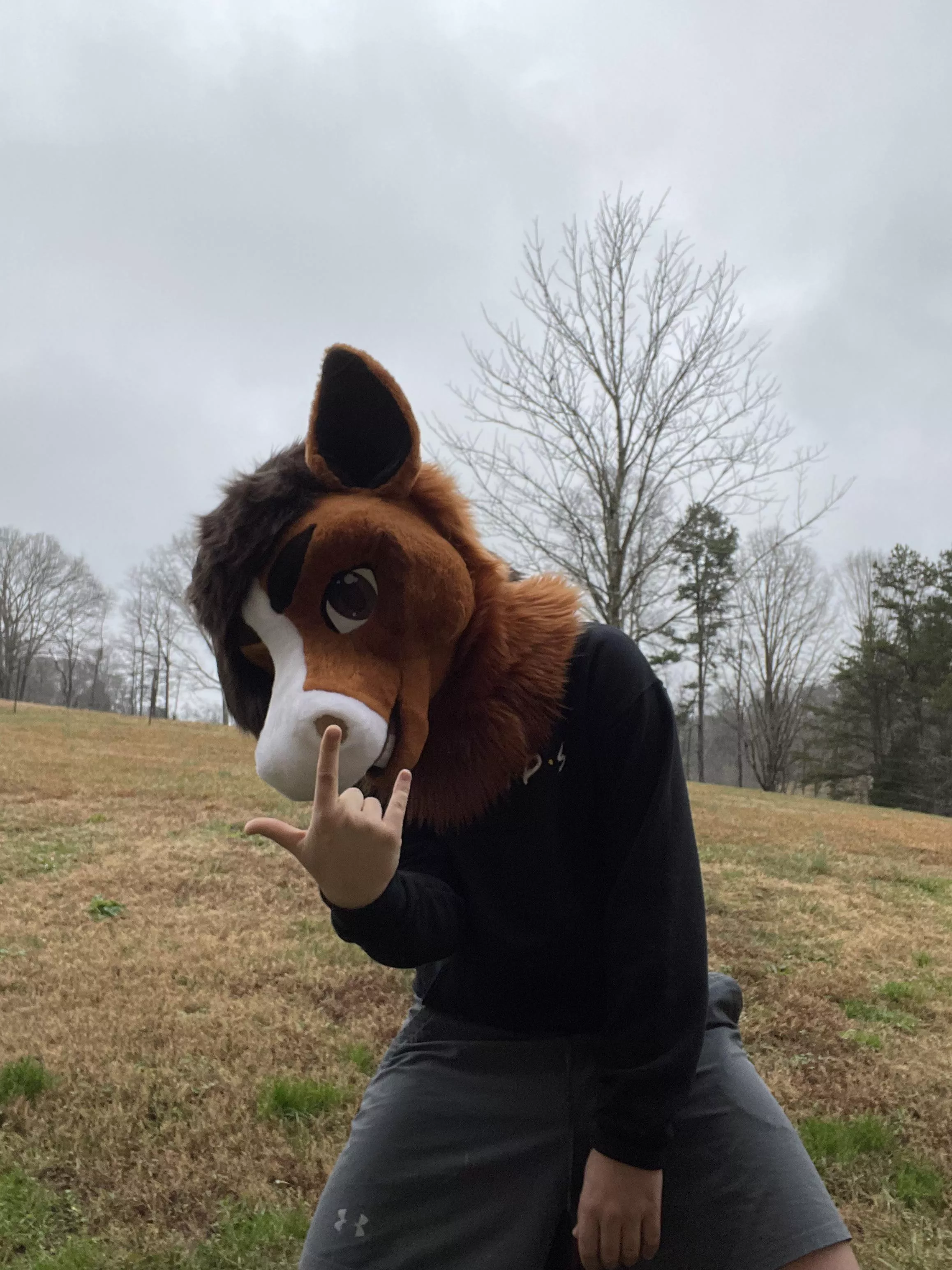 Happy fursuit Friday!!!!