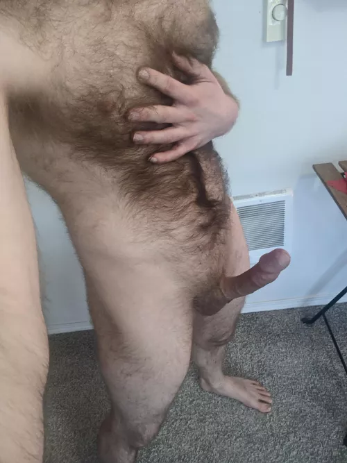 Happy Hairy Holidays 🤤