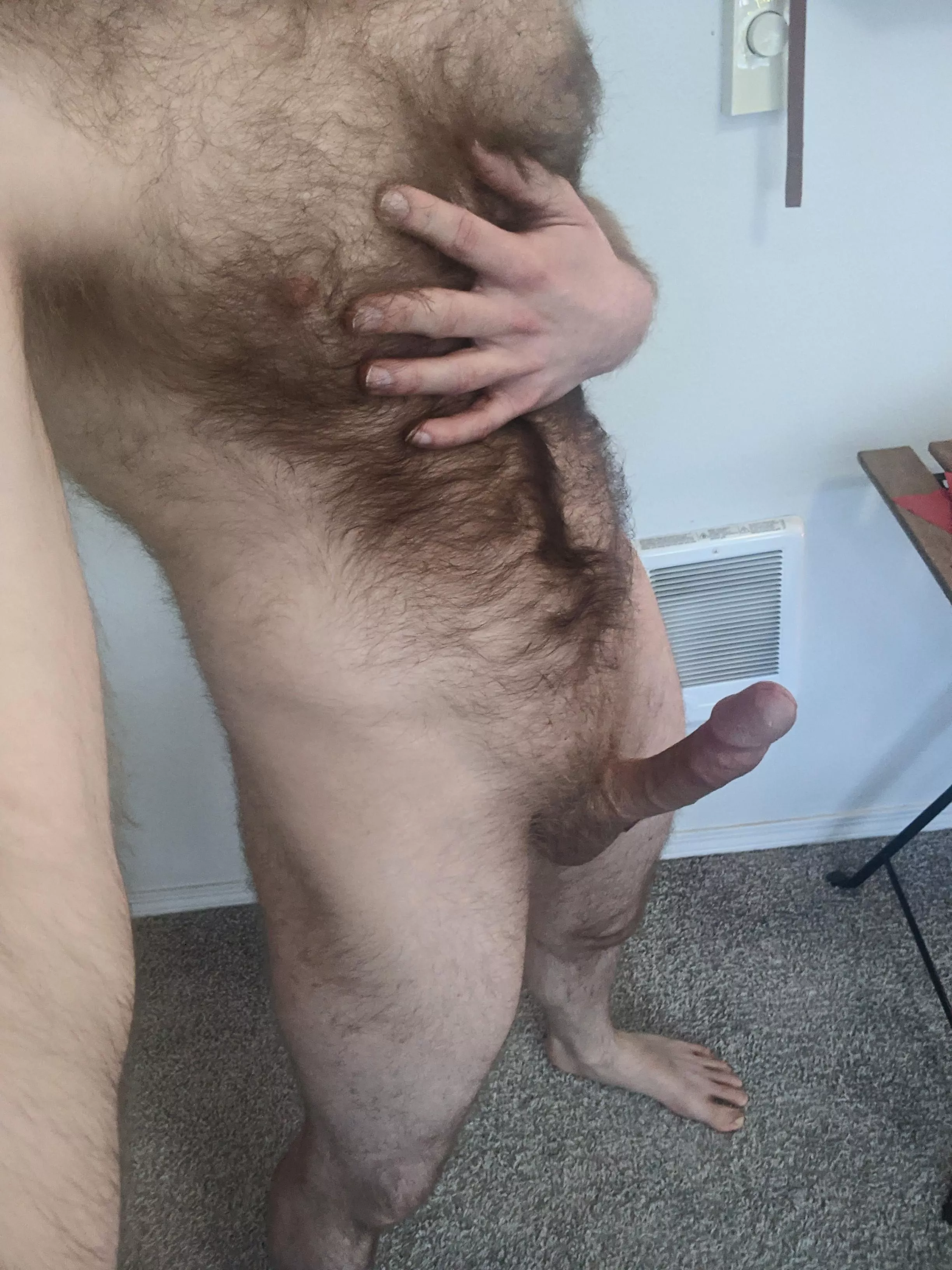 Happy Hairy Holidays 🤤