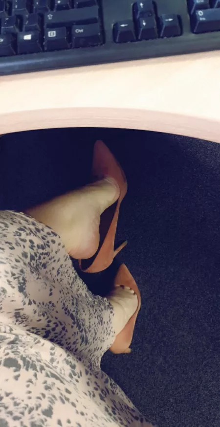 Happy Hump Day! Plenty of room under my desk if anyone wants to sneak in 🤫😉