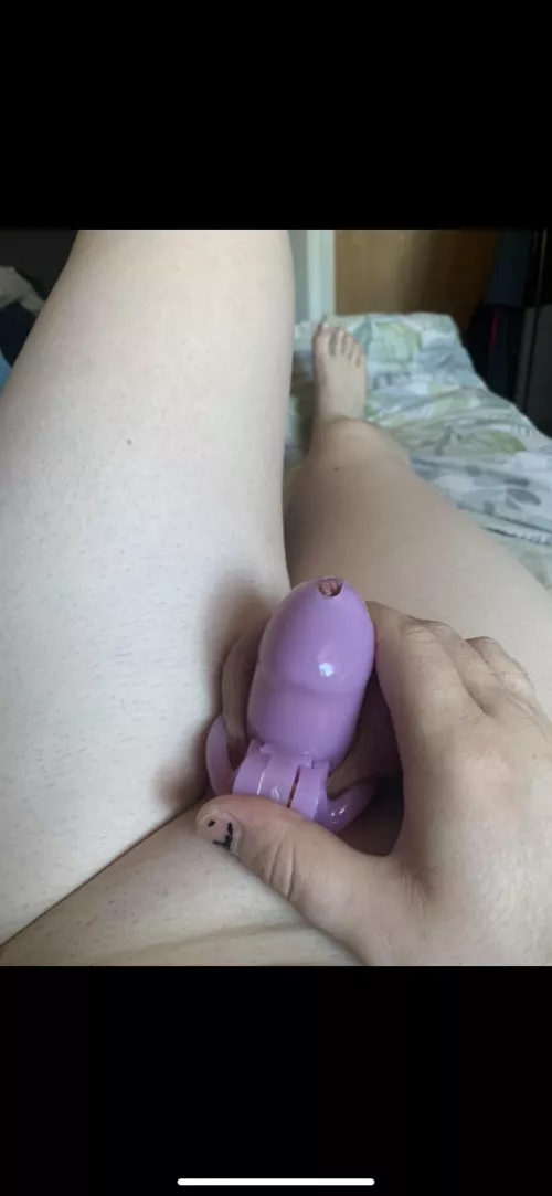 Happy International “Male” Chastity Day!!