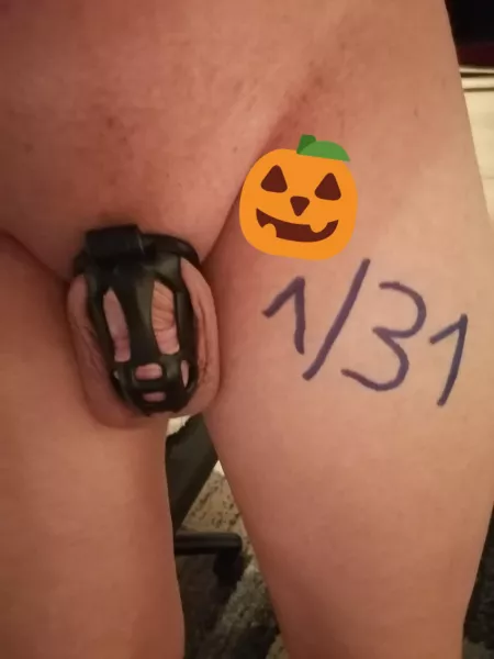 Happy Locktober everyone! 😁🎃🔐 This year I'm going into it already being locked up since 60 days 😅
