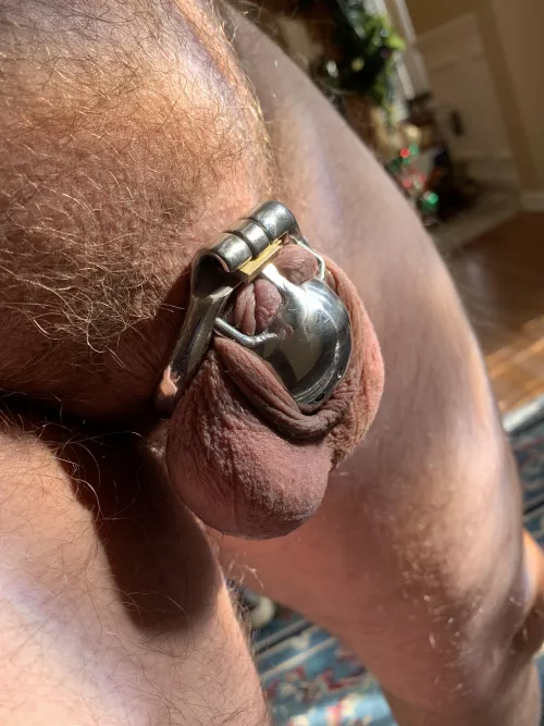 Happy Male Chastity Day!