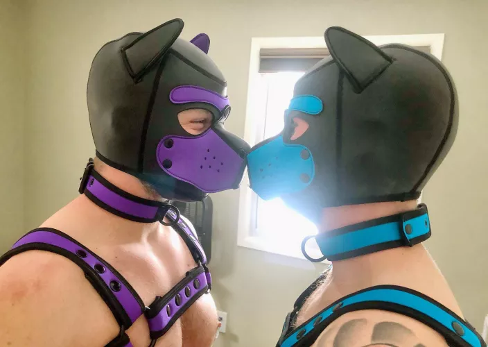 Happy Monday from the best boys *nuzzles* 🐾