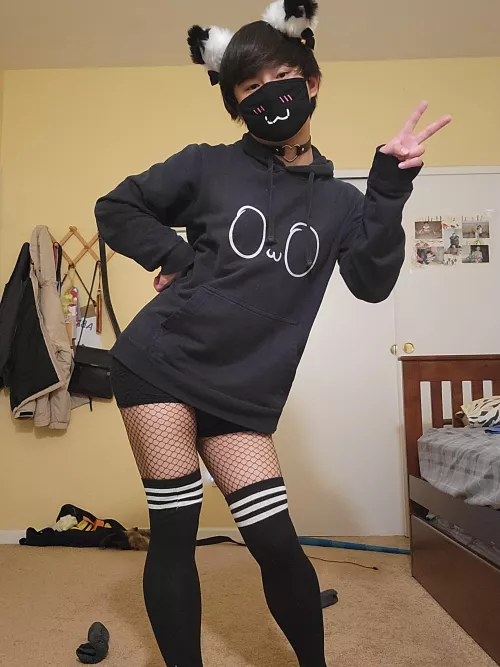 Happy new year and the first caturday of the year!