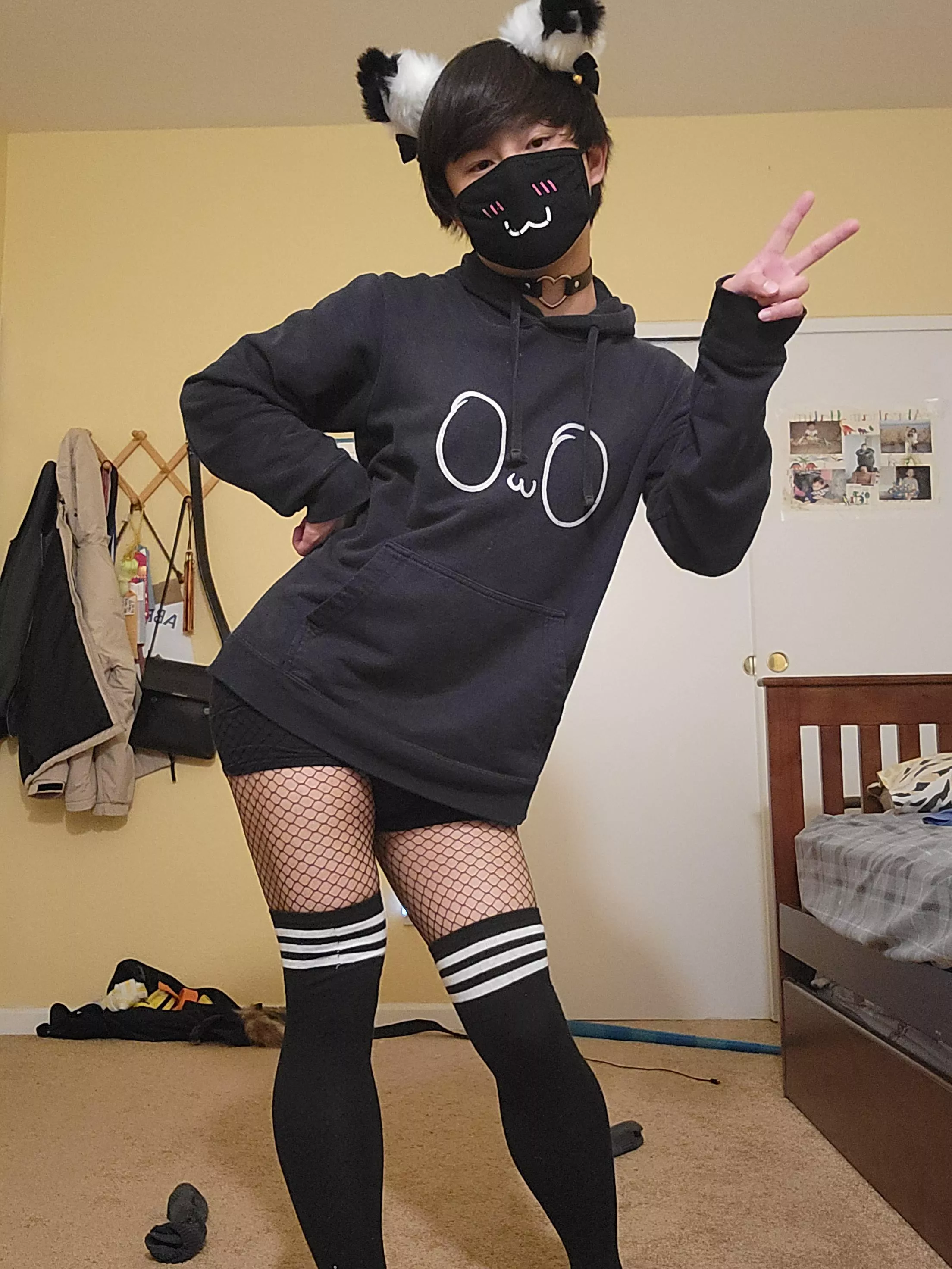 Happy new year and the first caturday of the year!