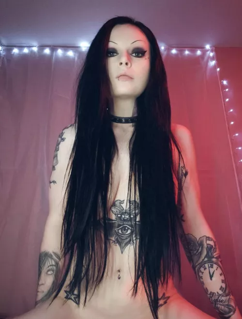 Happy New Year from this little black heart π€ π¨π¦π